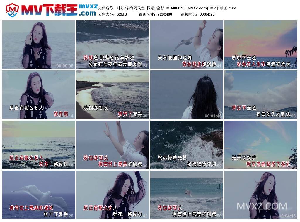 叶炫清-海阔天空_国语_流行_MD400676